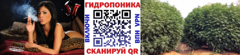 Codein Городец
