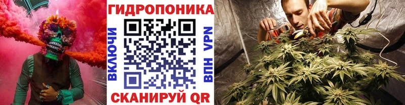 Купить закладки  Городец  Бошки марихуана Bruce Banner 